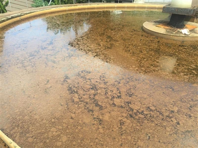 Lumpur Mengambang di Tangki Aerobik Pengolahan Air Limbah